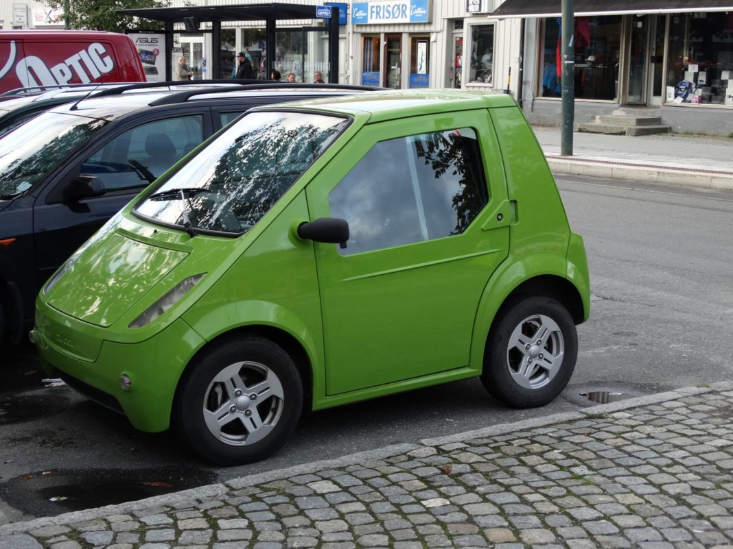 Zdjęcie Dnia. Buddy. Zdjęcie Dnia. Buddy.