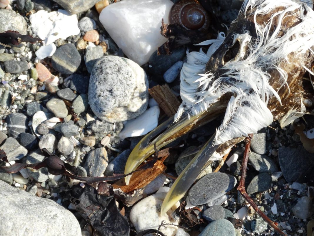 10499454_912474588767613_6855310955791612897_o