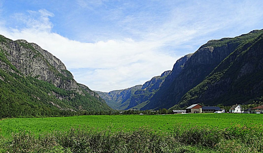 Zdjęcie Dnia. „Bajecznie” Zdjęcie Dnia. „Bajecznie”