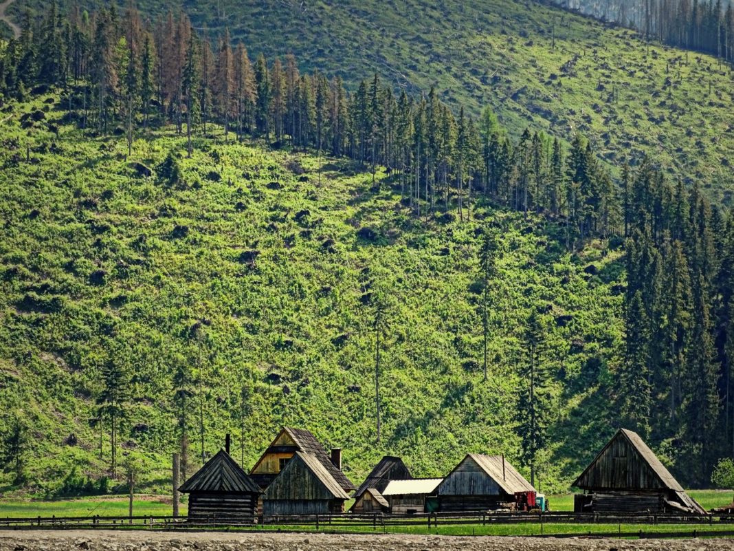 Zdjęcie Dnia. „Witojcie w Wojtowie” Zdjęcie Dnia. „Witojcie w Wojtowie”