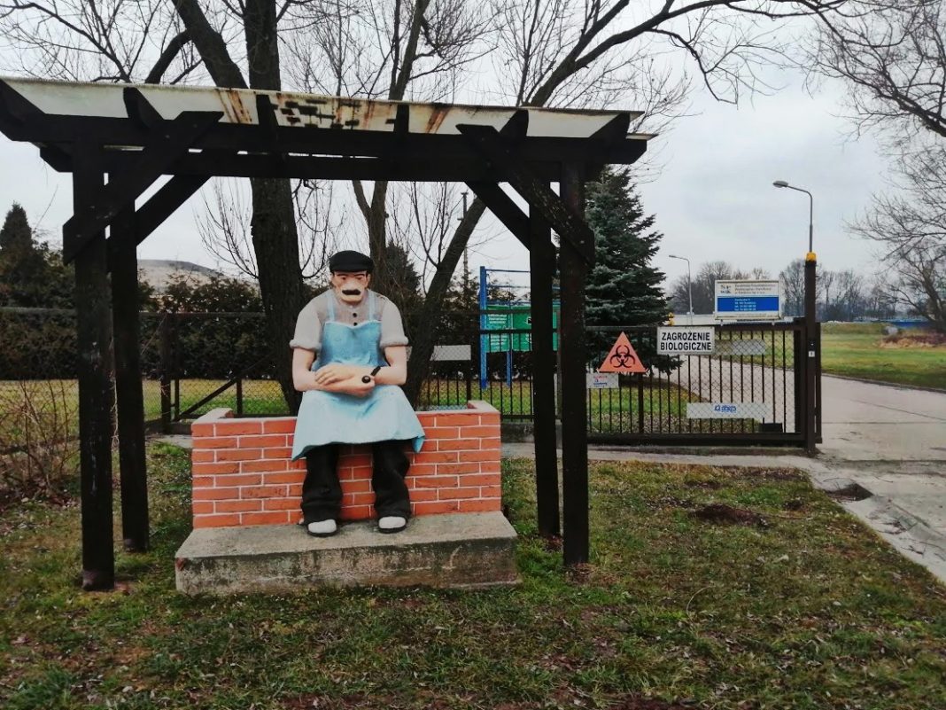 „Srający Chłopek” pod Świdnicą. Pomnik czy prowokacja sięgająca 1935 roku? „Srający Chłopek” pod Świdnicą. Pomnik czy prowokacja sięgająca 1935 roku?