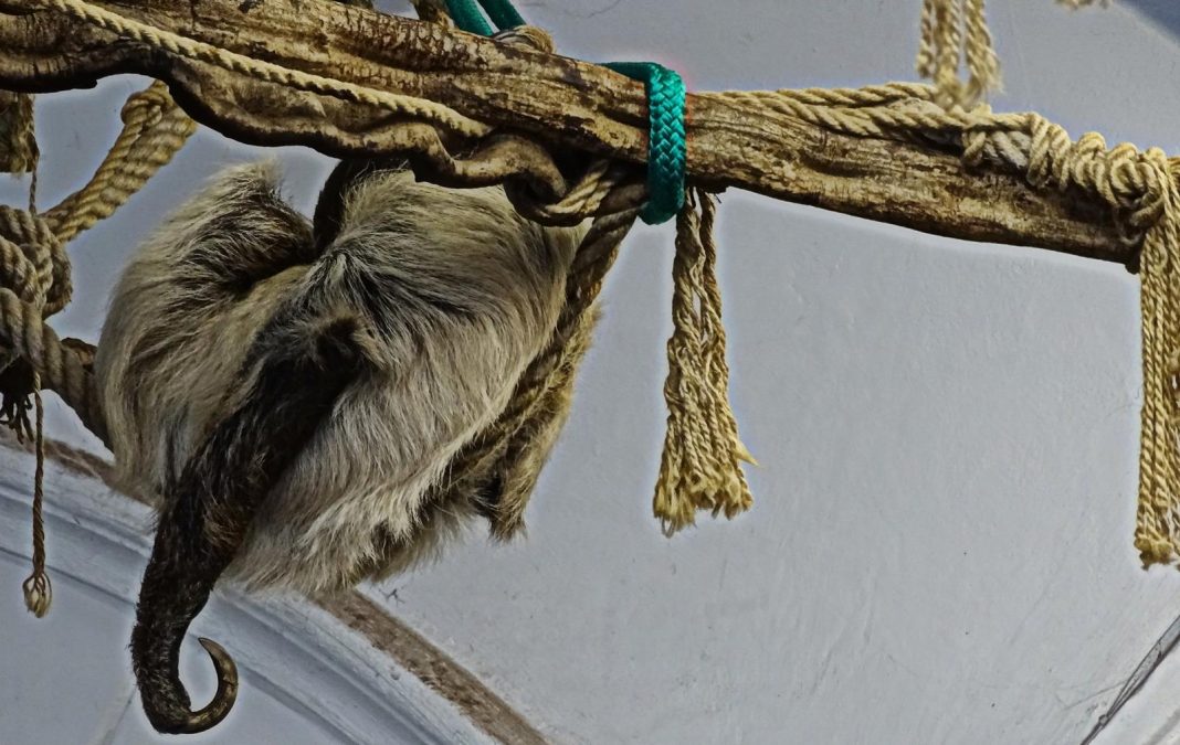 Zdjęcie Dnia. „Dzień Lenia” Zdjęcie Dnia. „Dzień Lenia”