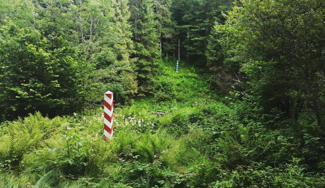 Bieszczady. Torfowisko w Tarnawie i Bieszczadzki Worek. Bieszczady. Torfowisko w Tarnawie i Bieszczadzki Worek.