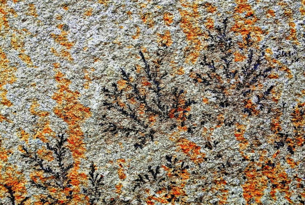 FotoStory. „Rysunek na skale” FotoStory. „Rysunek na skale”