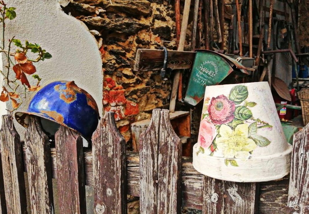 FotoStory. „Podejdź do płota!” FotoStory. „Podejdź do płota!”