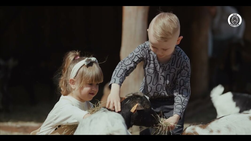 „Zoo Safari Borysew. Mogłoby być lepiej” „Zoo Safari Borysew. Mogłoby być lepiej”