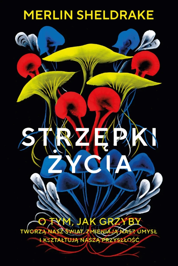„Strzępki życia”. Dlaczego grzyby tak bardzo nas fascynują? Recenzja książki.