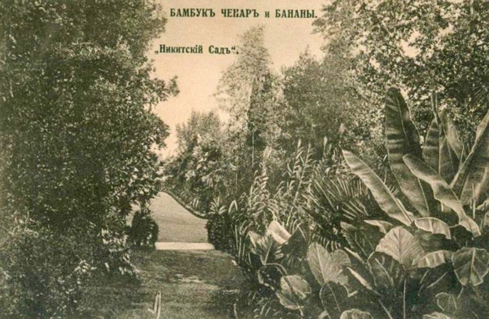 O tym, jak banany trafiły do Rosji O tym, jak banany trafiły do Rosji