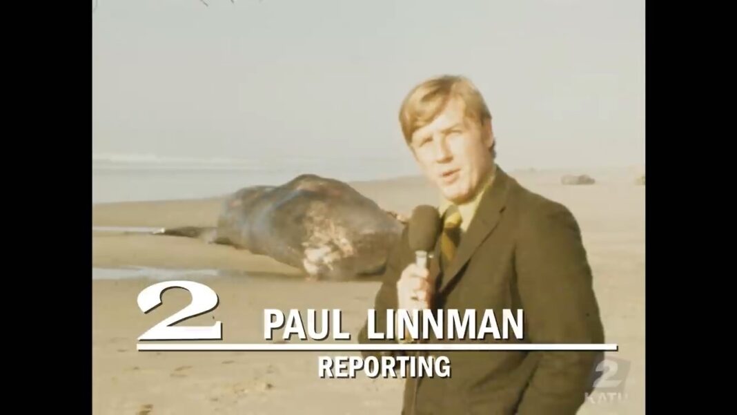 To jest dziwne: Historia wieloryba, który eksplodował, zobacz film To jest dziwne: Historia wieloryba, który eksplodował, zobacz film